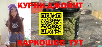 mdpv Заводоуковск